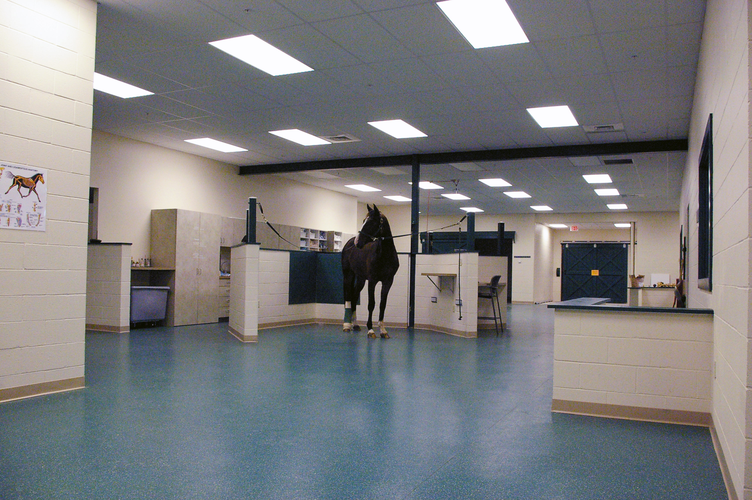 NEEC Exam Area